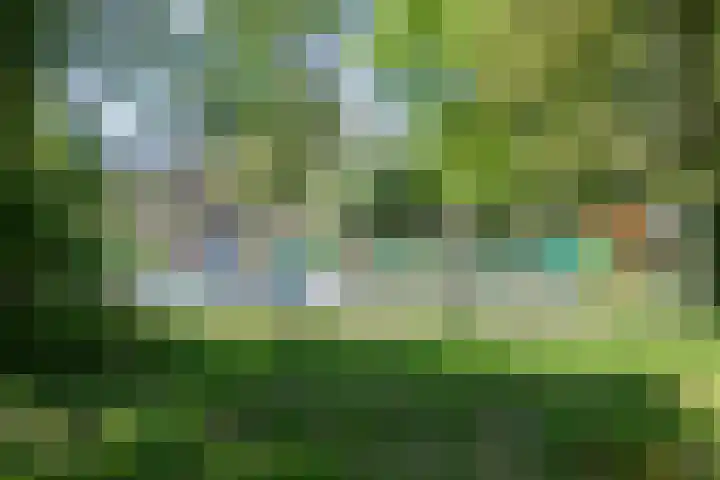 Rietveldpad 3 Leiden thumbnail 50