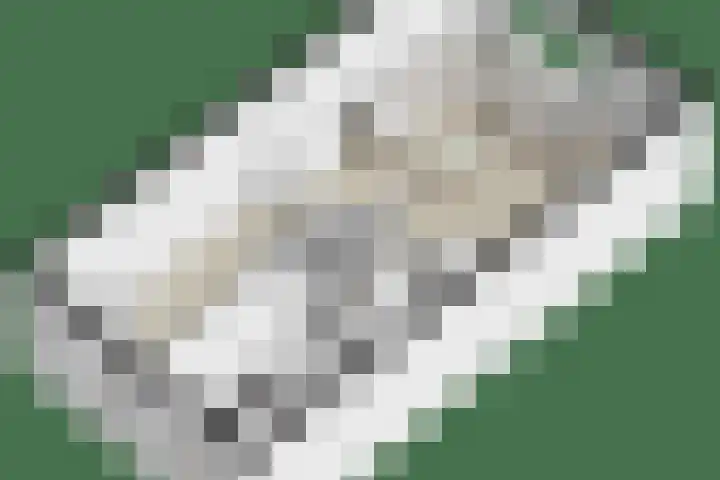 Rietveldpad 3 Leiden thumbnail 53