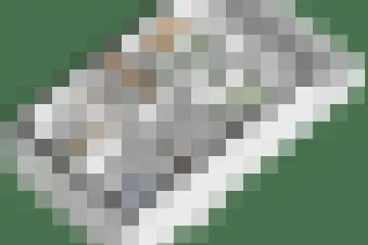 Rietveldpad 3 Leiden thumbnail 57