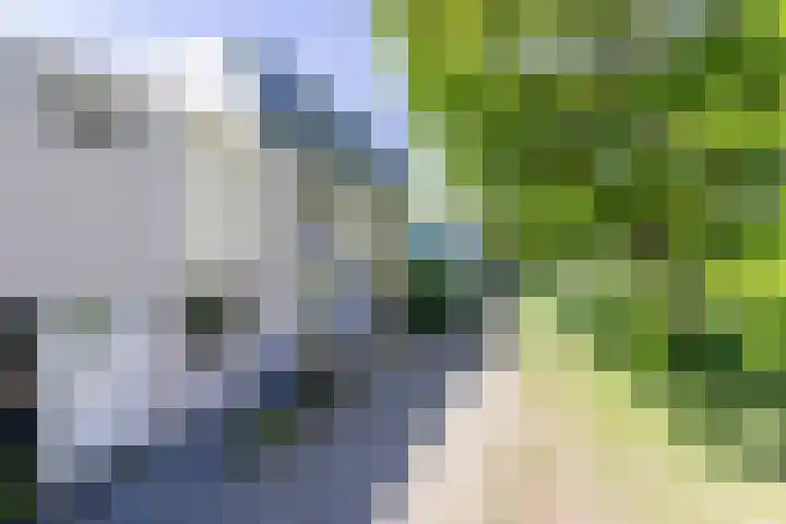Rietveldpad 3 Leiden thumbnail 6
