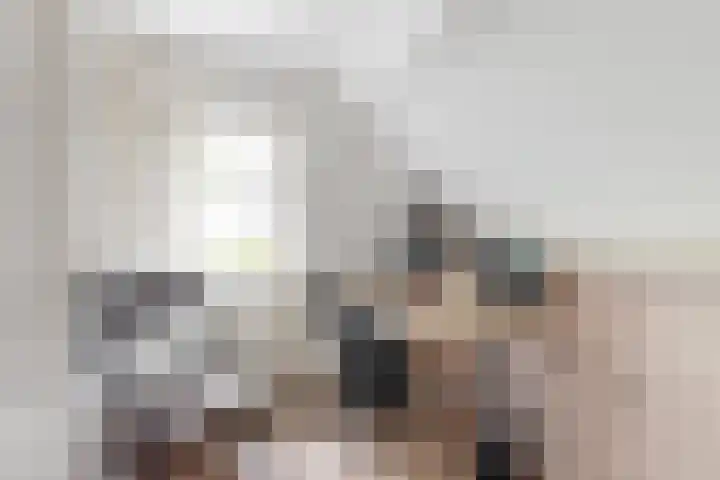 Rietveldsepad 17 Alphen aan den Rijn thumbnail 37