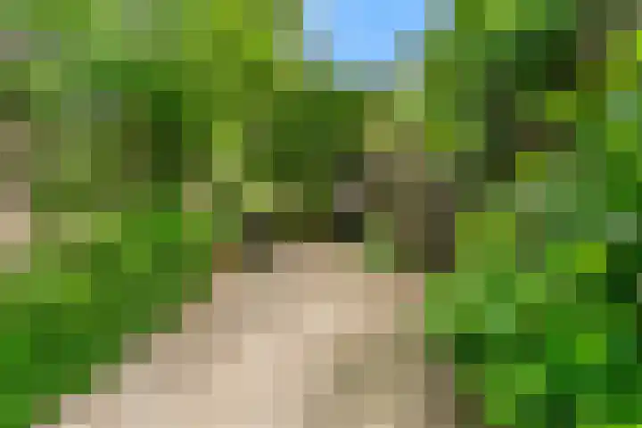 Rietveldsepad 17 Alphen aan den Rijn thumbnail 49