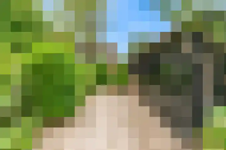 Rietveldsepad 17 Alphen aan den Rijn thumbnail 53