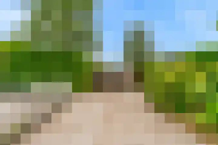 Rietveldsepad 17 Alphen aan den Rijn thumbnail 54