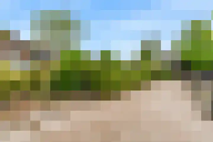Rietveldsepad 17 Alphen aan den Rijn thumbnail 55