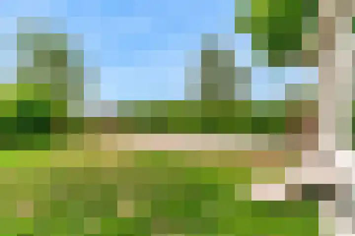 Rietveldsepad 17 Alphen aan den Rijn thumbnail 56