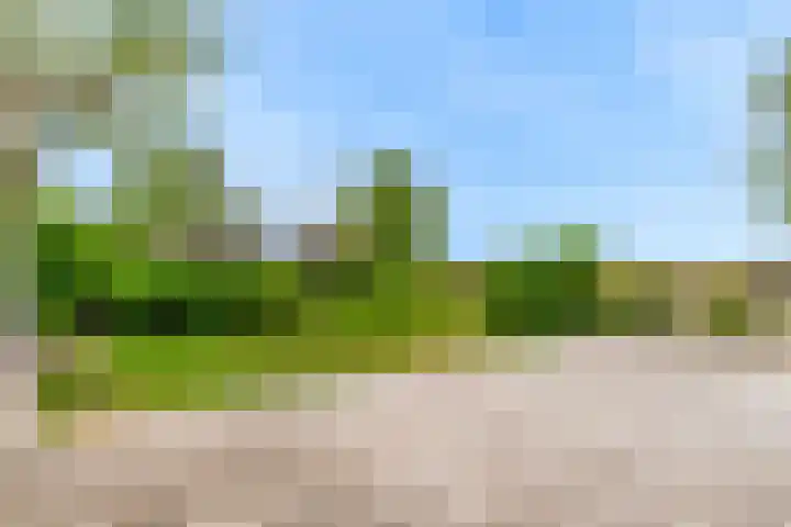 Rietveldsepad 17 Alphen aan den Rijn thumbnail 57