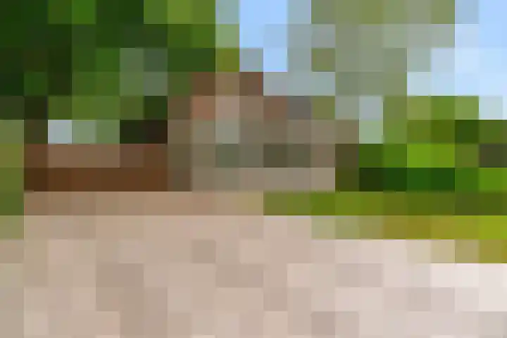 Rietveldsepad 17 Alphen aan den Rijn thumbnail 58