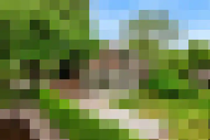 Rietveldsepad 17 Alphen aan den Rijn thumbnail 63