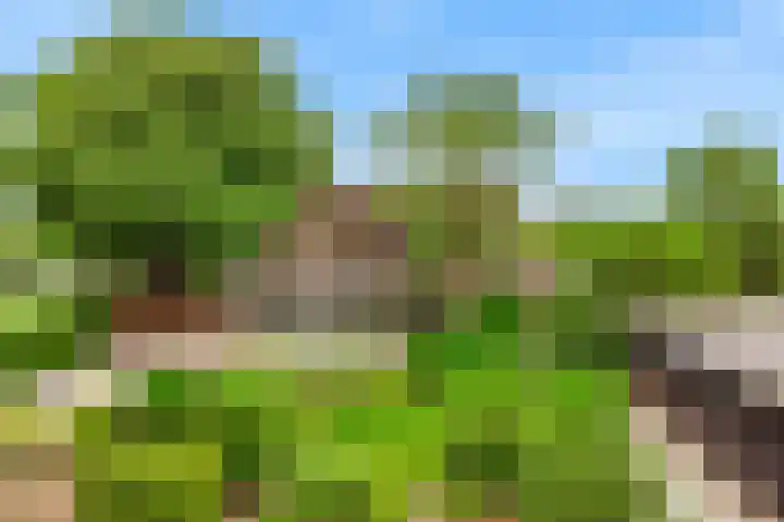 Rietveldsepad 17 Alphen aan den Rijn thumbnail 64