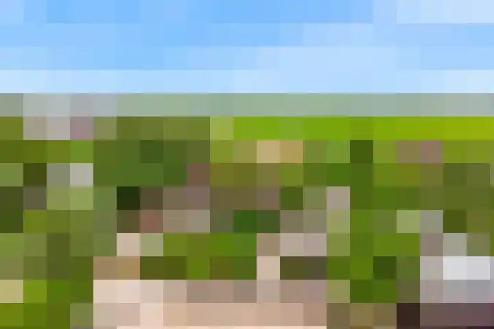 Rietveldsepad 17 Alphen aan den Rijn thumbnail 65
