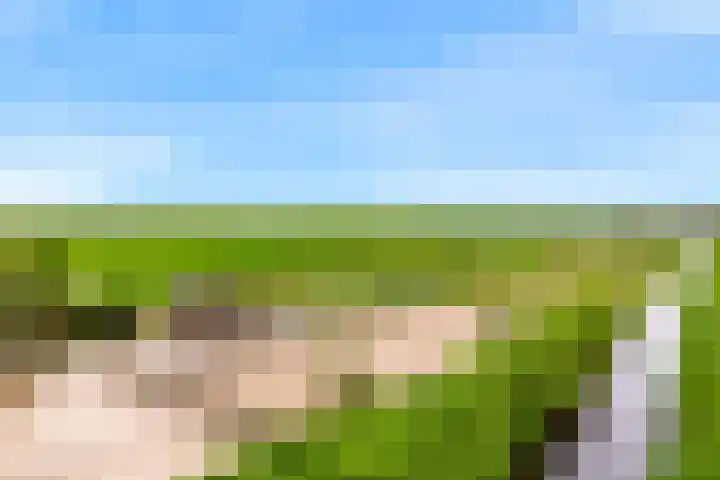 Rietveldsepad 17 Alphen aan den Rijn thumbnail 66