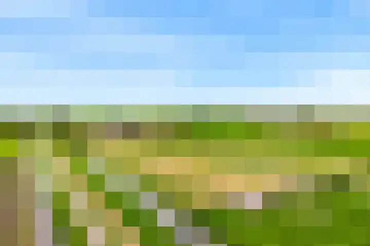 Rietveldsepad 17 Alphen aan den Rijn thumbnail 68