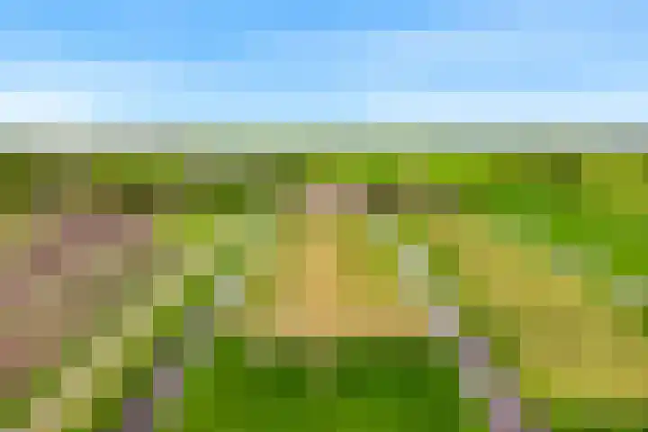 Rietveldsepad 17 Alphen aan den Rijn thumbnail 69