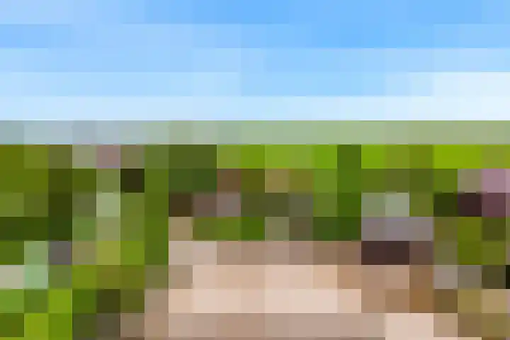 Rietveldsepad 17 Alphen aan den Rijn thumbnail 71