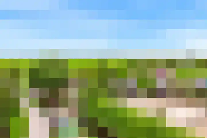 Rietveldsepad 17 Alphen aan den Rijn thumbnail 72