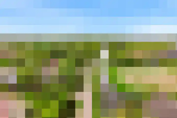 Rietveldsepad 17 Alphen aan den Rijn thumbnail 73