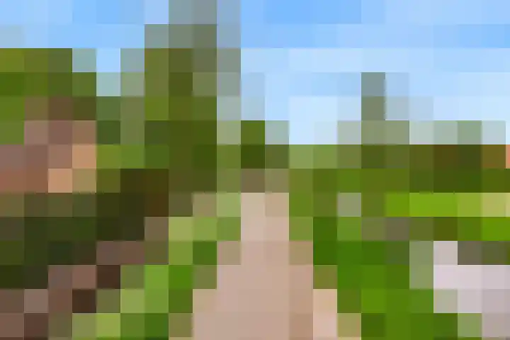 Rietveldsepad 17 Alphen aan den Rijn thumbnail 77