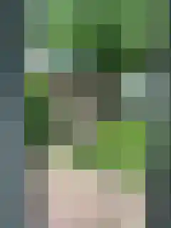 Rietveldseweg 21 a 101 Culemborg thumbnail 10