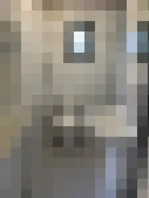 Rietveldseweg 21 a 124 Culemborg thumbnail 12