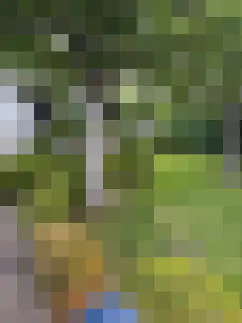 Rietveldseweg 21 a 171 Culemborg thumbnail 12