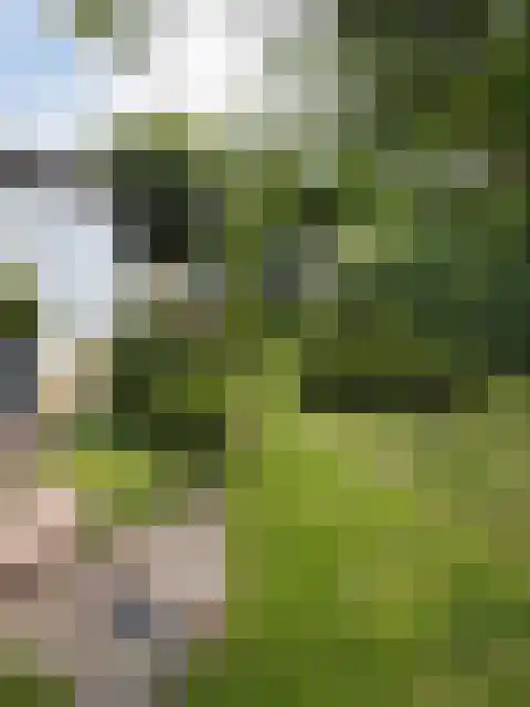 Rietveldseweg 21 a 171 Culemborg thumbnail 13