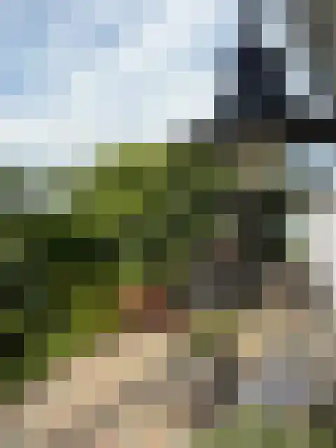 Rietveldseweg 21 a 171 Culemborg thumbnail 29