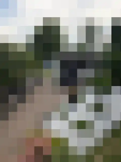 Rietveldseweg 21 a 171 Culemborg thumbnail 5