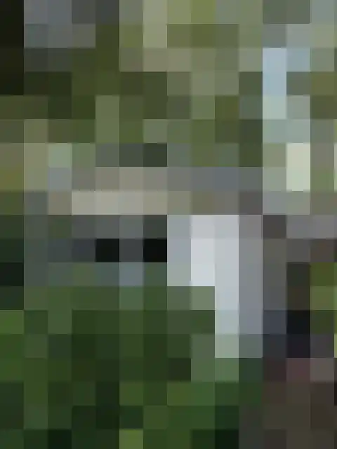 Rietveldseweg 21 a 20 Culemborg