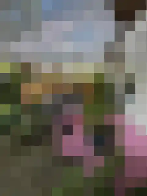 Rietveldseweg 21 a 20 Culemborg thumbnail 10