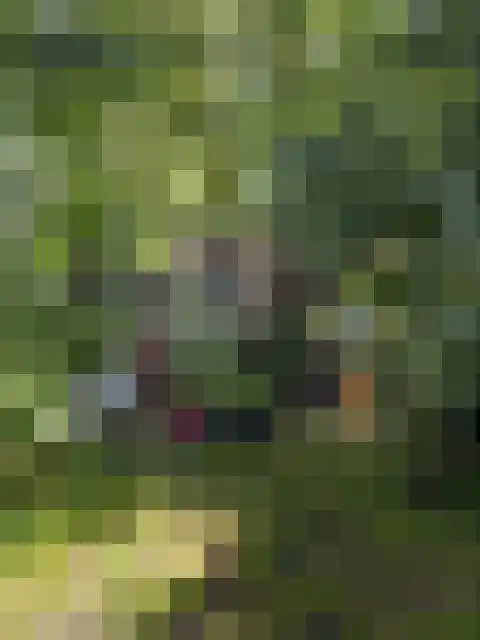 Rietveldseweg 21 a 20 Culemborg thumbnail 11