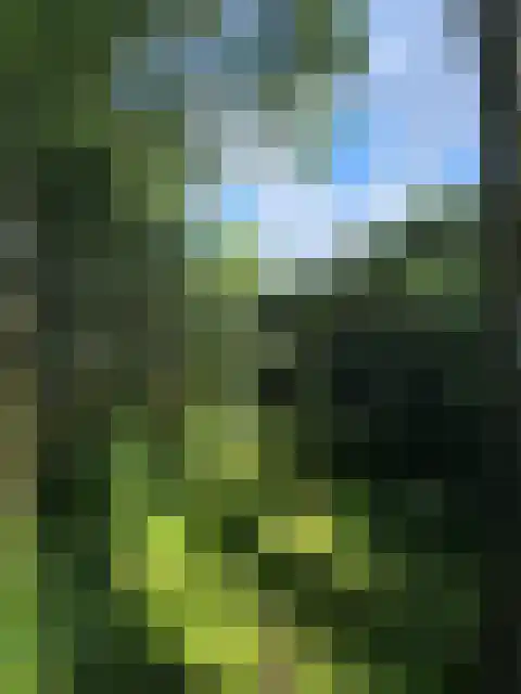 Rietveldseweg 21 a 20 Culemborg thumbnail 12