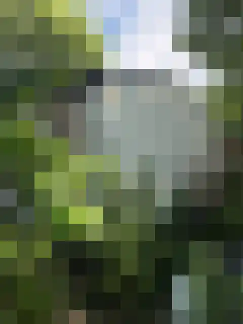 Rietveldseweg 21 a 20 Culemborg thumbnail 13