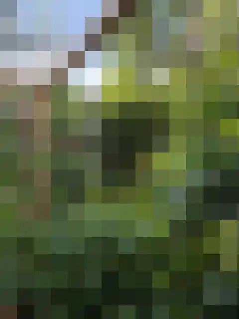 Rietveldseweg 21 a 20 Culemborg thumbnail 14