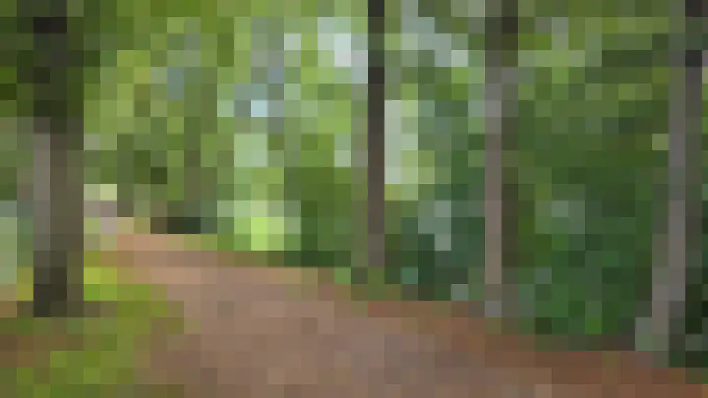 Rietveldseweg 21 a 250 Culemborg thumbnail 18