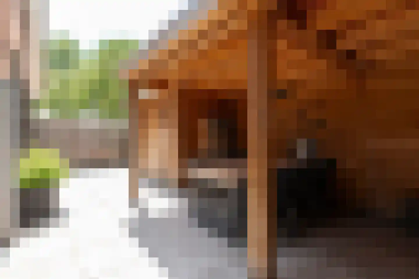 Rietveldseweg 5 a Culemborg thumbnail 35