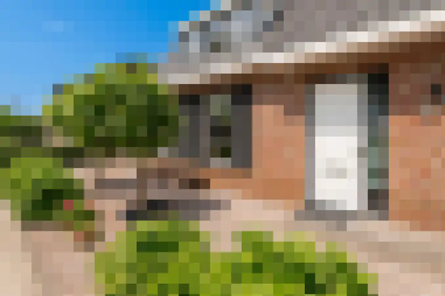 Rietveldseweg 5 a Culemborg thumbnail 6