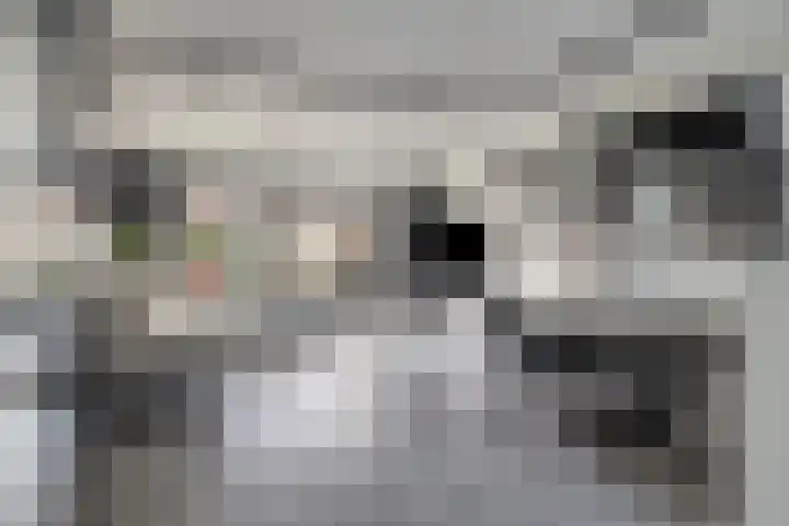 Rietveldstraat 189 Bergschenhoek thumbnail 7