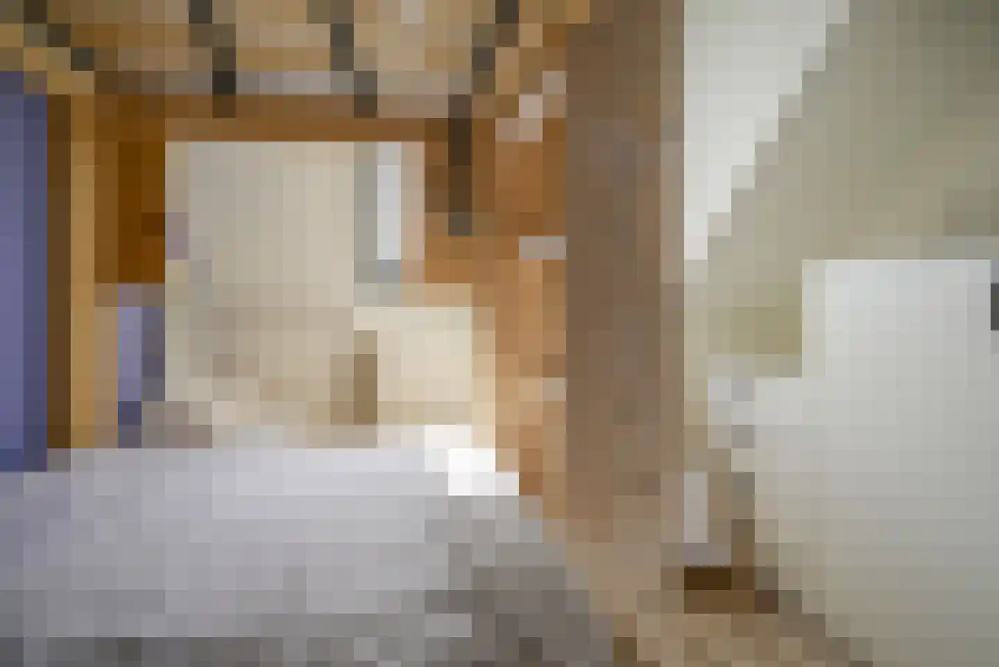 Rietveldstraat 193 Bergschenhoek thumbnail 43