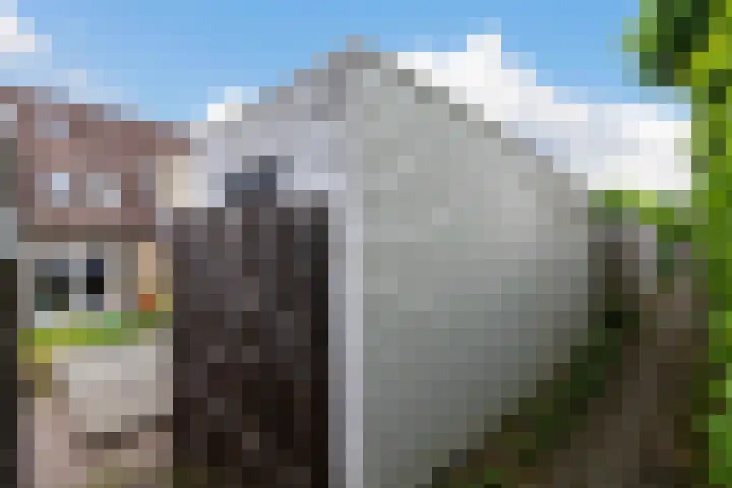 Rietveldstraat 26 Heerlen thumbnail 42
