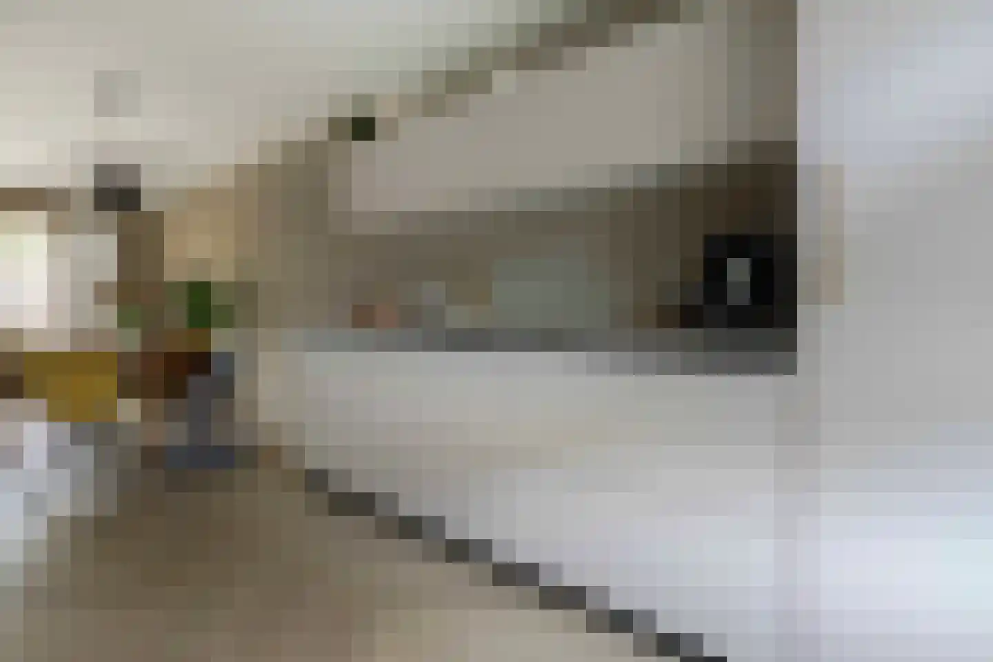 Rietveldstraat 26 Heerlen thumbnail 7