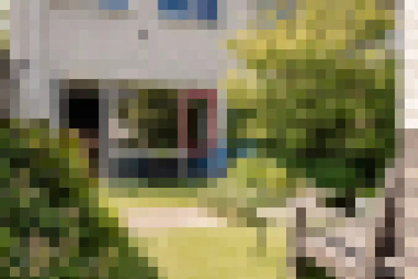 Rietveldstraat 29 Haarlem thumbnail 13
