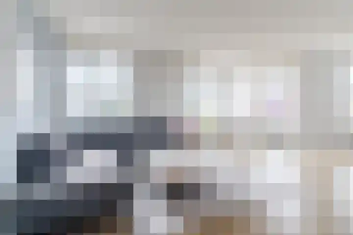 Rietven 10 Veghel thumbnail 10