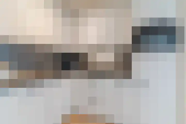 Rietven 10 Veghel thumbnail 14