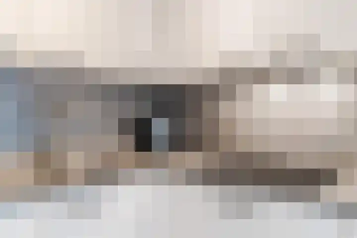 Rietven 10 Veghel thumbnail 15