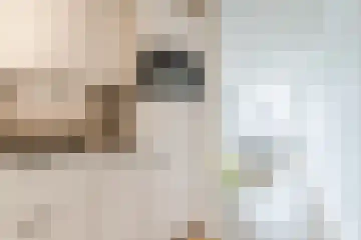Rietven 10 Veghel thumbnail 16