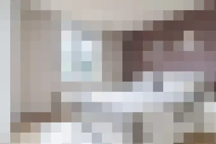 Rietven 10 Veghel thumbnail 19
