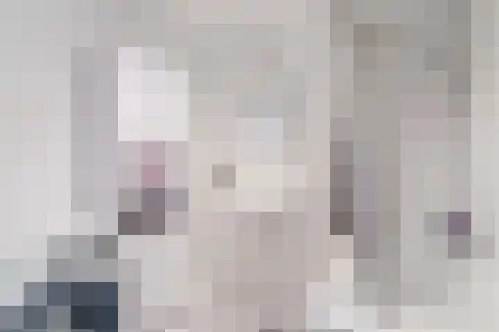 Rietven 10 Veghel thumbnail 25