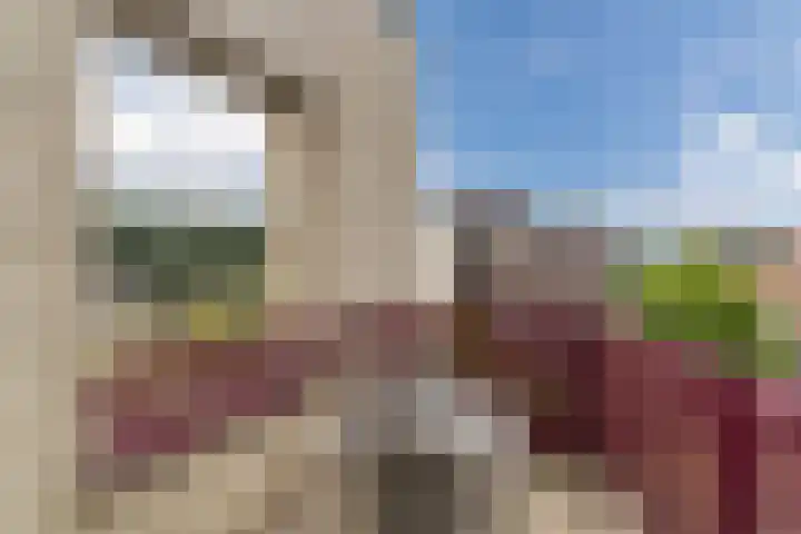 Rietven 10 Veghel thumbnail 27