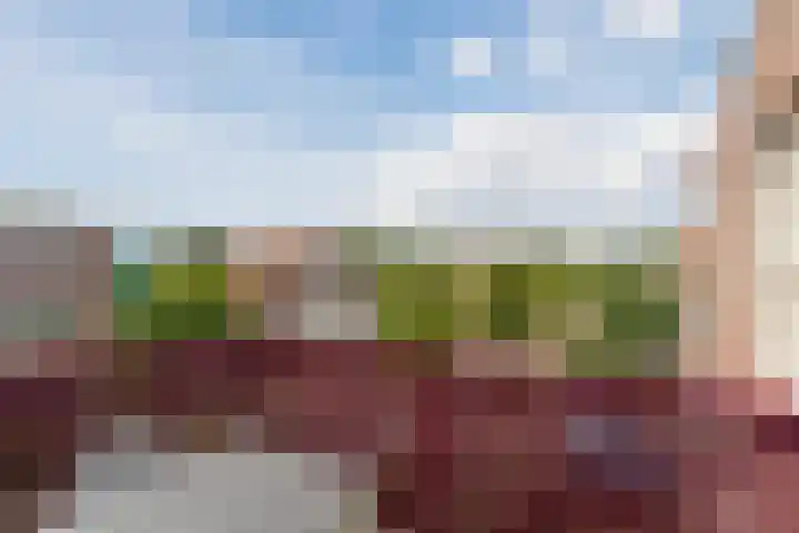 Rietven 10 Veghel thumbnail 28